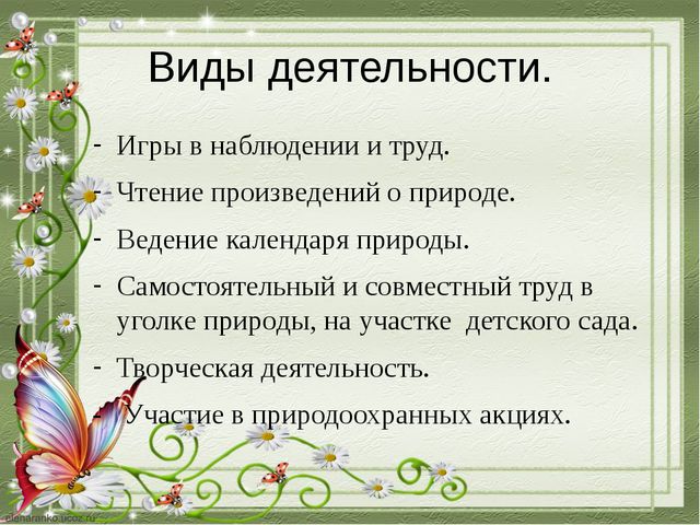 Познавательное развитие дошкольников