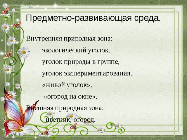 Познавательное развитие дошкольников