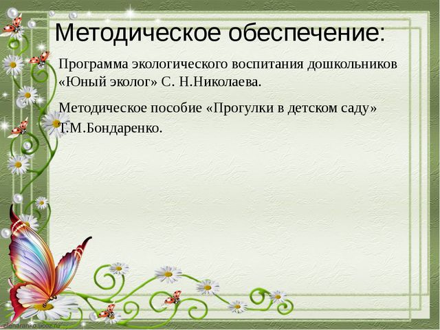 Познавательное развитие дошкольников