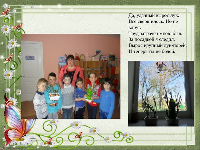 Познавательное развитие дошкольников