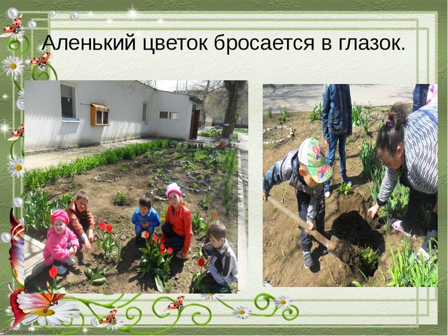 Познавательное развитие дошкольников