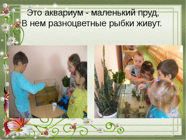 Познавательное развитие дошкольников