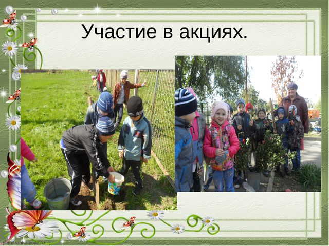 Познавательное развитие дошкольников