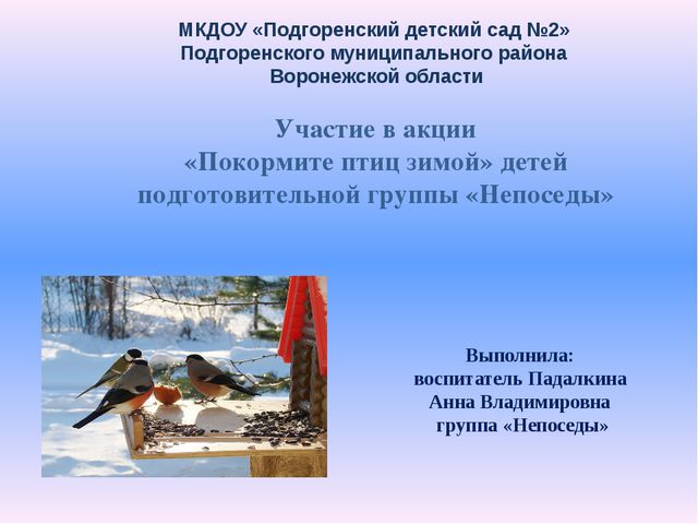 Покормите птиц зимой. Презентация детей подготовительной группы