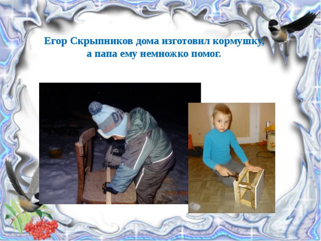 Покормите птиц зимой. Презентация детей подготовительной группы