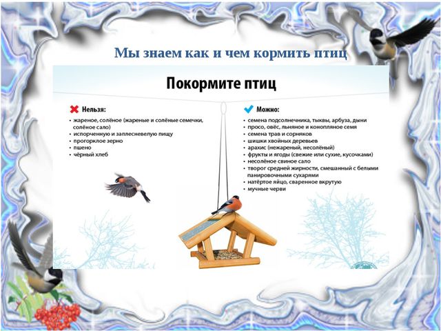 Покормите птиц зимой. Презентация детей подготовительной группы