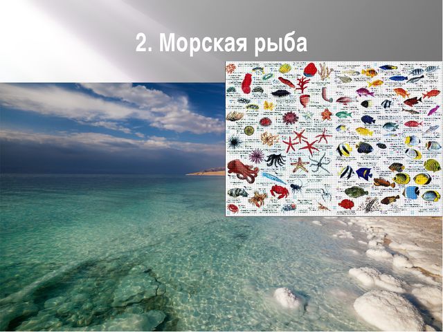 Рыбы. Презентация для дошкольников