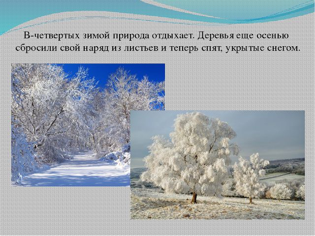 Презентация для детей: Зима