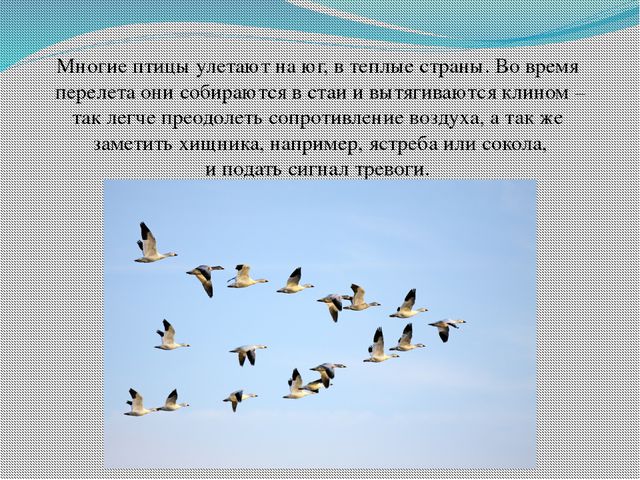 Презентация для детей: Зима