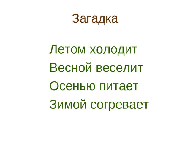 В гости деревце пришло. Презентация для дошкольников