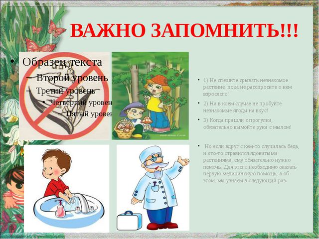 Осторожно, ядовитые растения. Презентация для дошкольников