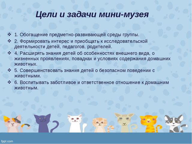 Мини-музей «Кошкин дом» в подготовительной группе ДОУ