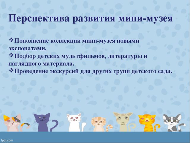 Мини-музей «Кошкин дом» в подготовительной группе ДОУ