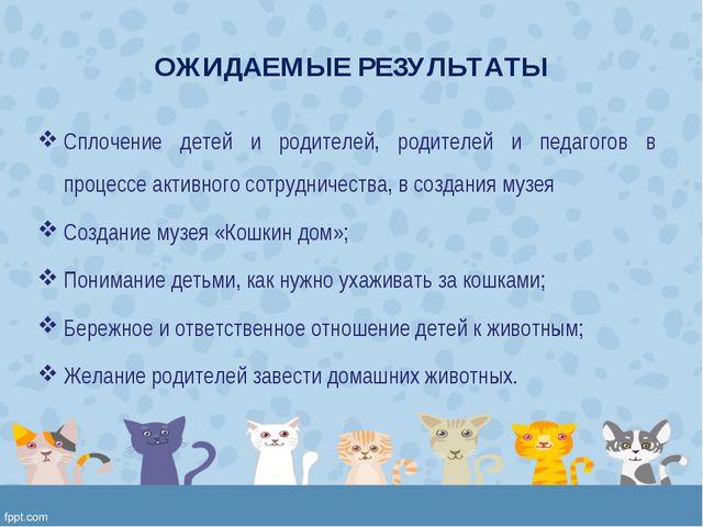 Мини-музей «Кошкин дом» в подготовительной группе ДОУ