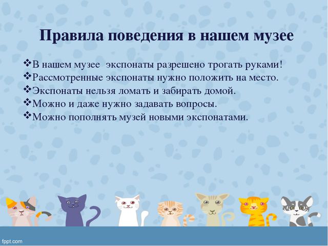 Мини-музей «Кошкин дом» в подготовительной группе ДОУ