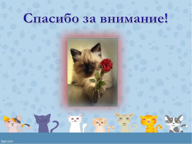 Мини-музей «Кошкин дом» в подготовительной группе ДОУ