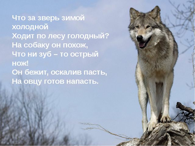 Использование информационно-компьютерных технологий в работе с дошкольниками