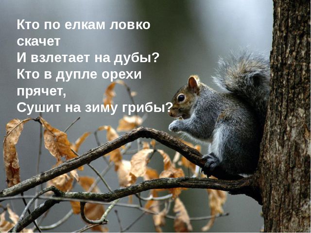 Использование информационно-компьютерных технологий в работе с дошкольниками