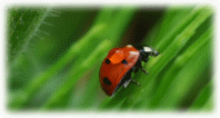 1680x1050_479024_[www_ArtFile_ru].jpg