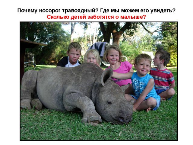 Животные жарких стран. Презентация для детей дошкольного возраста