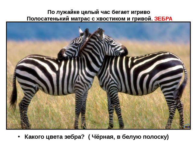 Животные жарких стран. Презентация для детей дошкольного возраста