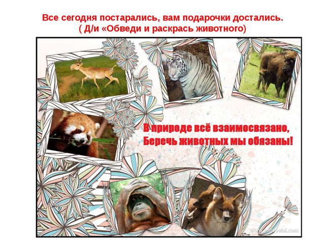 Животные жарких стран. Презентация для детей дошкольного возраста