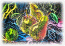 991233(1)(1)(2).jpg