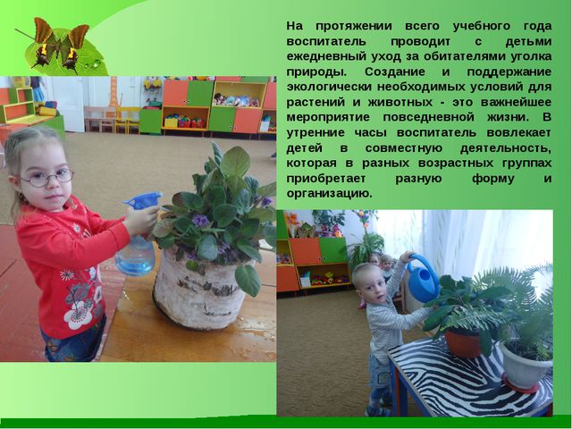 Ознакомление дошкольников с окружающим миром