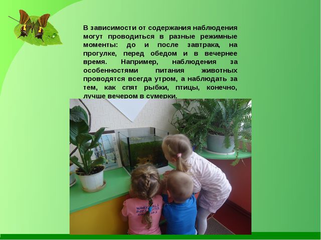 Ознакомление дошкольников с окружающим миром