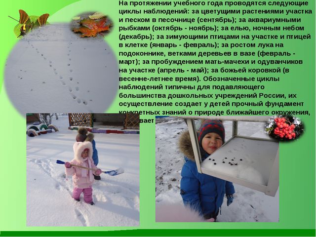 Ознакомление дошкольников с окружающим миром
