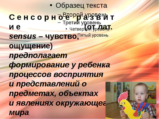 Презентация. Сенсорика