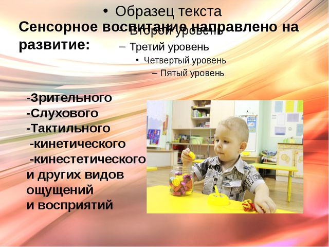 Презентация. Сенсорика