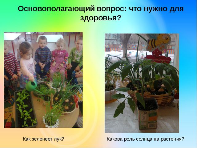 Огород на окне. Презентация
