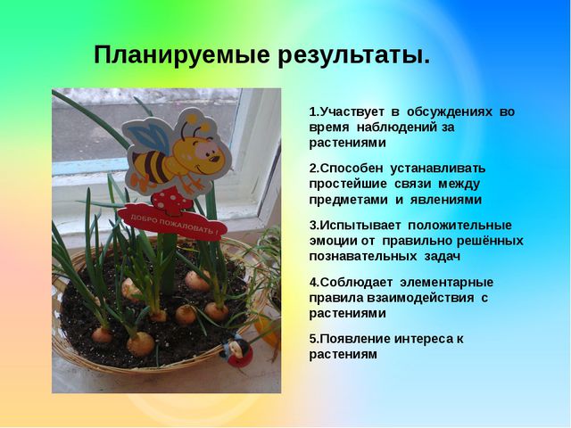 Огород на окне. Презентация