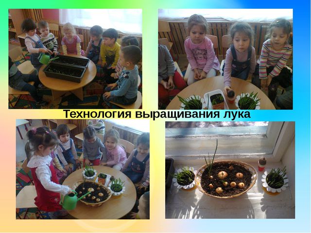 Огород на окне. Презентация