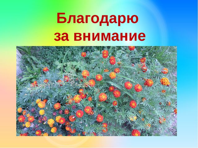 Огород на окне. Презентация
