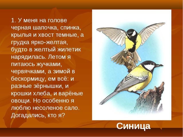 Птицы. Презентация для детей дошкольного возраста