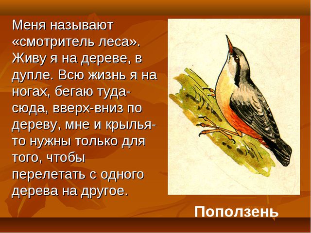 Птицы. Презентация для детей дошкольного возраста