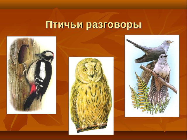 Птицы. Презентация для детей дошкольного возраста