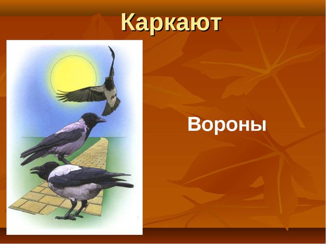 Птицы. Презентация для детей дошкольного возраста