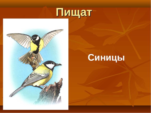 Птицы. Презентация для детей дошкольного возраста
