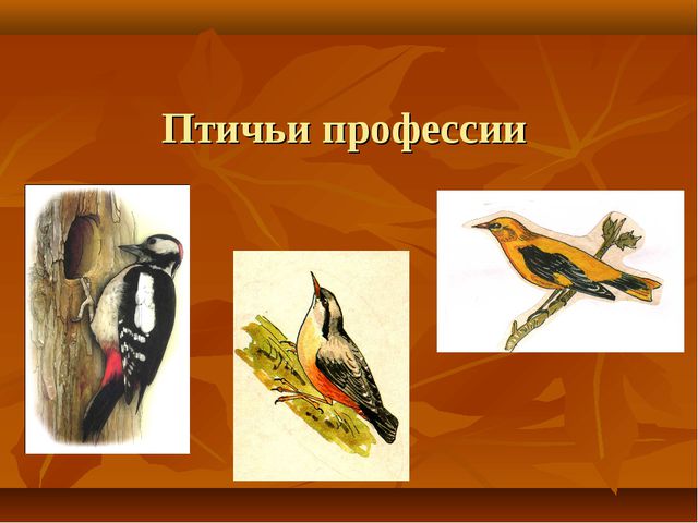 Птицы. Презентация для детей дошкольного возраста