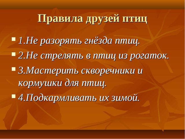 Птицы. Презентация для детей дошкольного возраста