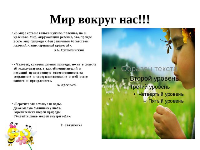 Уголок природы. Презентация для дошкольников