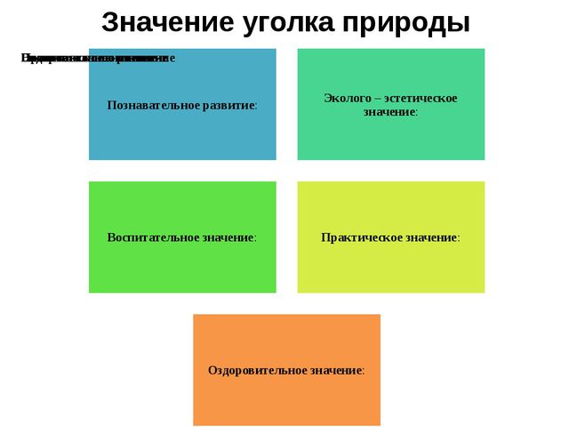Уголок природы. Презентация для дошкольников