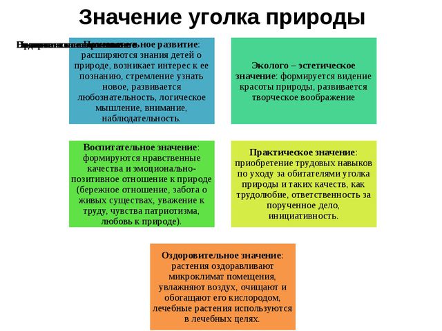 Какого значение выборов. Значение уголка природы. Воспитательно образовательное значение уголка природы. Значение уголка природы в детском саду. Важность уголка природы.