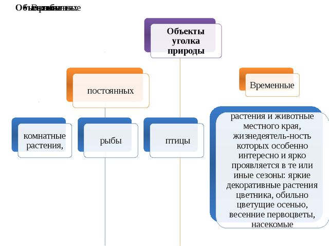 Уголок природы. Презентация для дошкольников