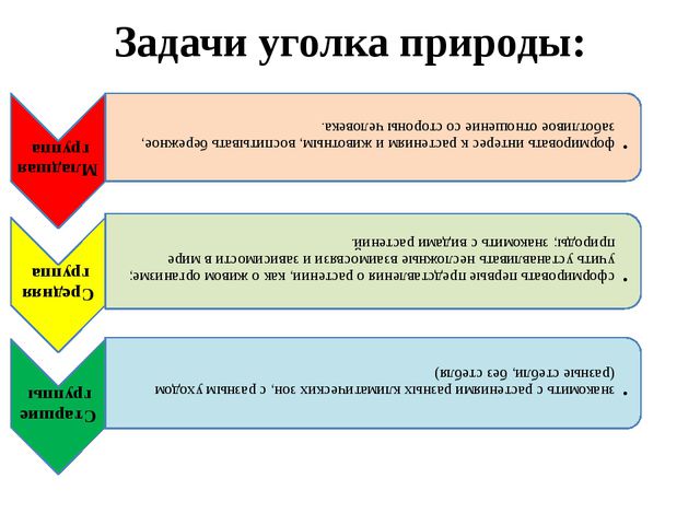 Уголок природы. Презентация для дошкольников
