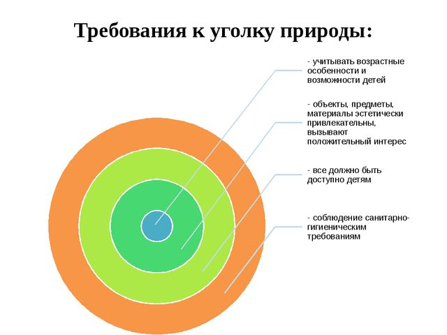 Уголок природы. Презентация для дошкольников