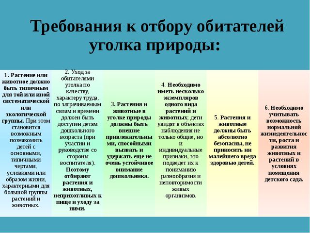 Уголок природы. Презентация для дошкольников